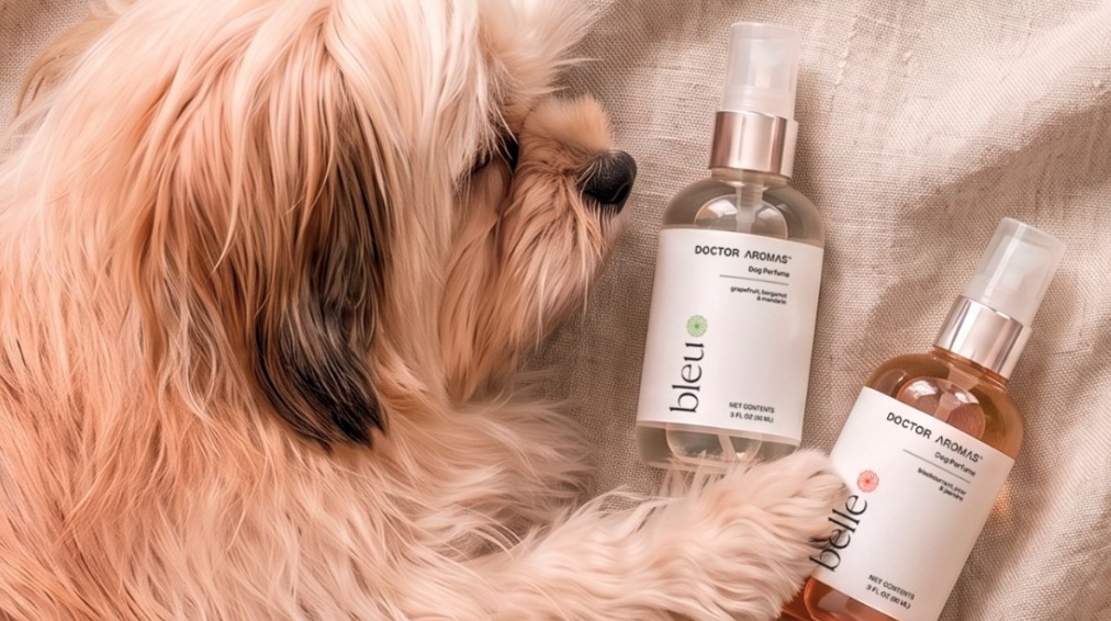 Doctor Aromas launches Pet Perfumes aerosol grooming line for dogs